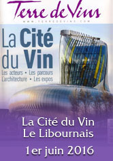 TERRE DE VINS – La Cité du Vin – Le Libournais