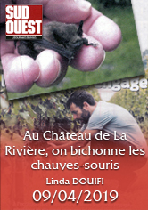 SUD-OUEST – Au Château de La Rivière, on bichonne les chauves-souris – Linda DOUIFI