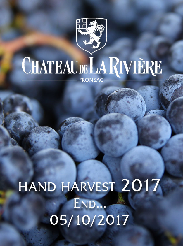 End of Hand Harvest 2017
