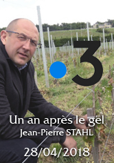FRANCE INFO – Un an après le gel : « une phrase » pour résumer le drame survenu dans le vignoble de Bordeaux le 27 avril 2017 – Jean-Pierre STAHL