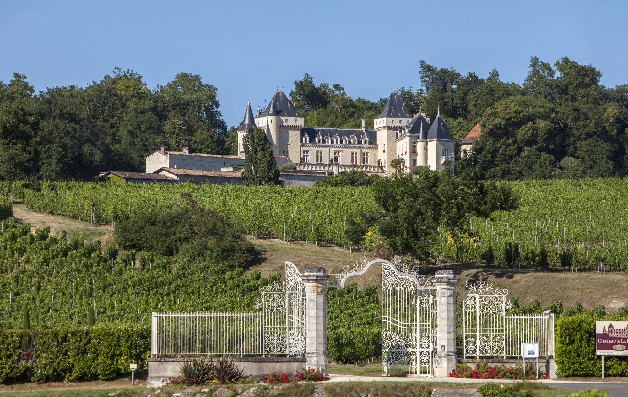 HOME PAGE – Château de La Rivière – Fronsac