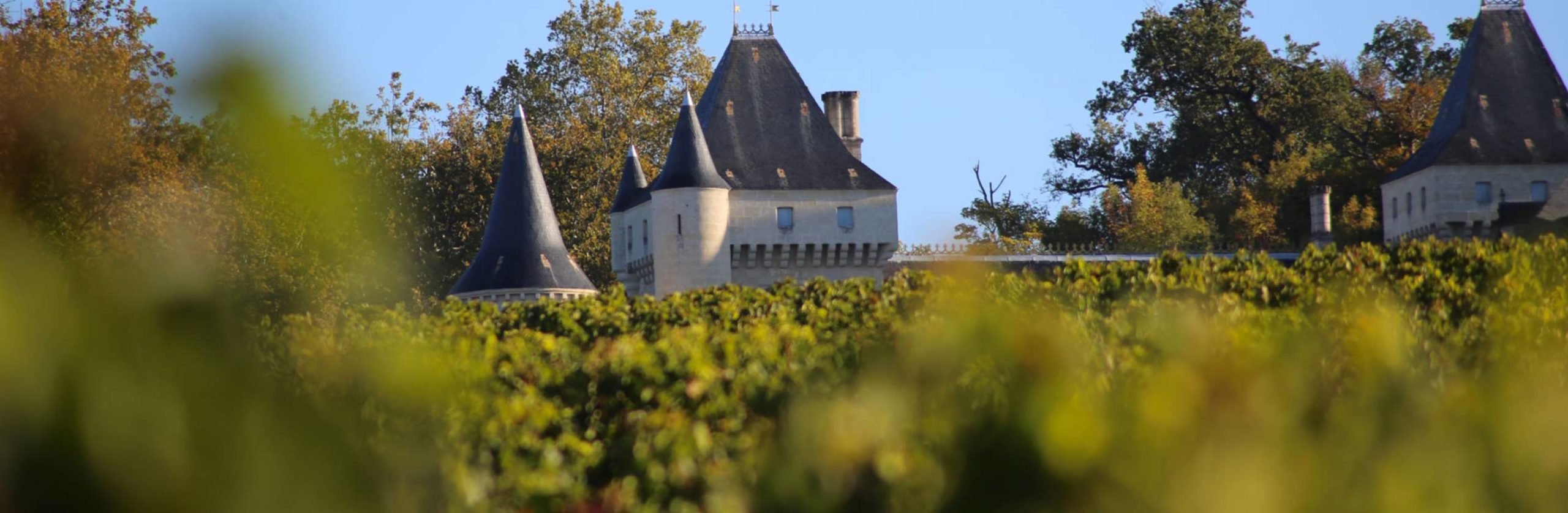 Château de La Rivière 2016 Château de La Rivière Fronsac Grand Vin de Bordeaux