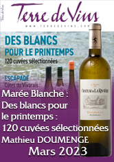 TERRE DE VINS – Le Blanc de Château de La Rivière 2021  > 89/100
